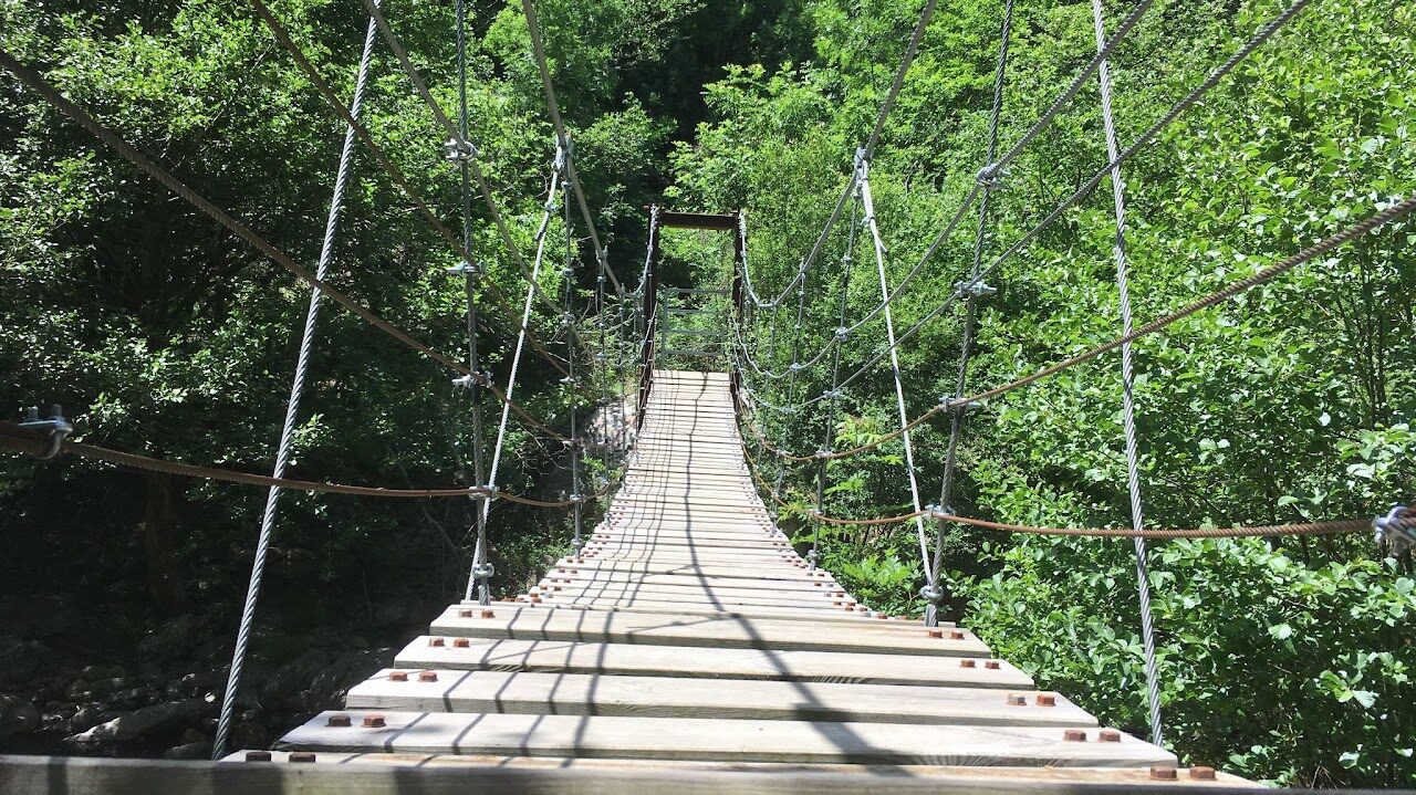 Pont suspendu dans la forêt